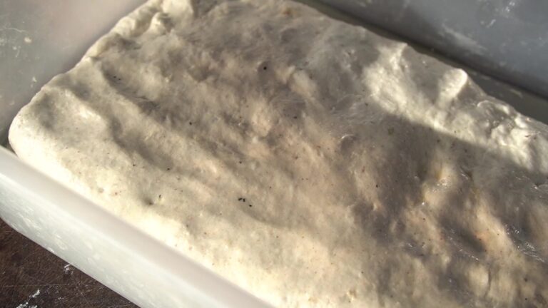 Masa de ciabatta sin gluten con burbujas en el táper